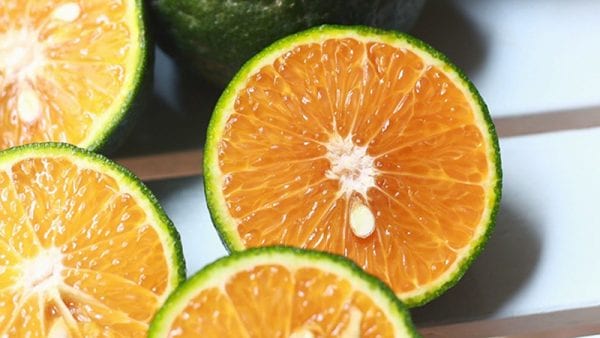 Cam - 7 loại trái cây giúp da thải độc, ít gặp các bệnh về da